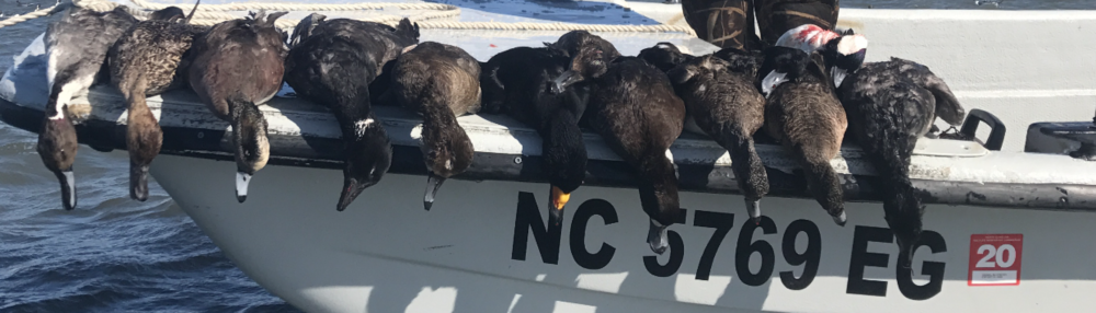 TnA Guide Service | Duck Hunting