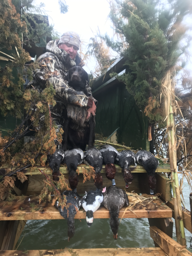 Waterfowl & Duck Hunting Outer Banks Hatteras, NC T&A Guide