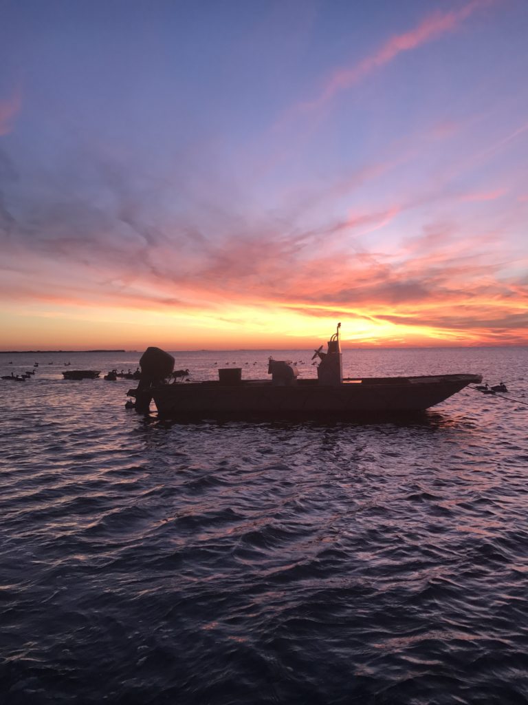 Waterfowl and Duck Hunting OBX Hatteras, NC T&A Guide ServiceTnA