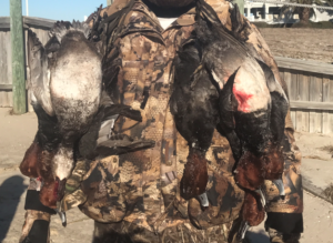 Redheads | Waterfowl Duck Hunt North Carolina Outer Banks Hatteras, NC